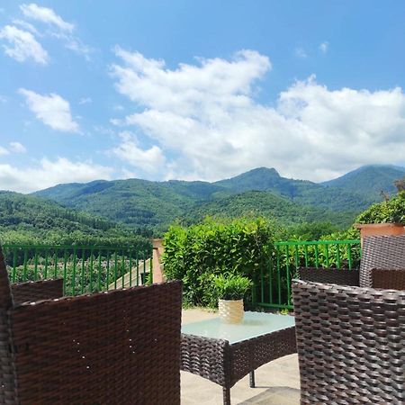 Casa Palau - Relax Y Naturaleza A Los Pies Del Montseny Arbucies Villa Exteriör bild